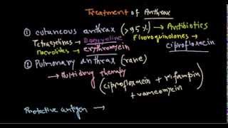 Bacillus anthracis treatment [upl. by Audra]