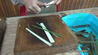 How To Make Papyrus Paper [upl. by Enicnarf]