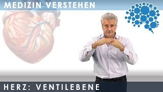 Füllung der Herzkammer  Superanschaulich │Dr Dr Damir del Monte│Encephalon MedizinVideos [upl. by Salchunas415]