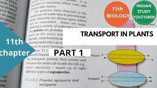 NCERT Class 11th Biology chapter 12th Transport in plants  part 1 [upl. by Golter]