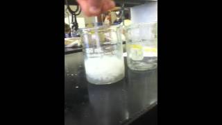 Silver Nitrate  Sodium Chloride reaction [upl. by Harberd843]