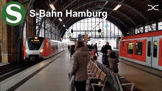 SBahn Hamburg  DB  HVV  and other trains [upl. by Kcirtemed82]