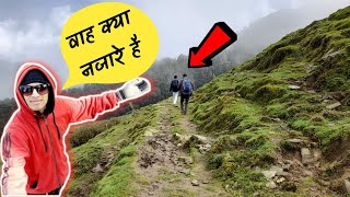 वाह क्या नजारे हैं  गजब के पेड़ हैं  Tungnath Yatra  Part2 [upl. by Shirleen]