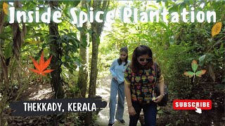 Inside Spice Plantation  Thekkady  Kerala [upl. by Mallen]