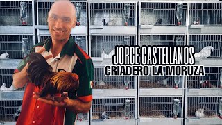 Jorge Castellanos  Criadero La Moruza [upl. by Anelas]