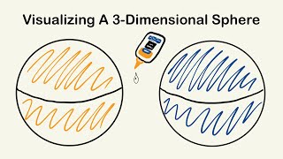 Visualizing A 3Dimensional Sphere [upl. by Aivatnwahs217]