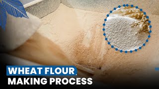 Grinding Wheat Berries into Flour  GrainMaker 99 Food Mill [upl. by Westberg]