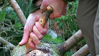 Bushcraft Skills for long term Wilderness Survival How to make a bark container for cooking food [upl. by Eeryn]