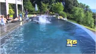 Aquaviva Pools On King5 [upl. by Eah]