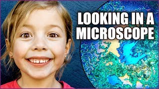 Microscope For Kids  Fun with Science [upl. by Philine133]