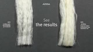 An Extreme Test Aveda vs a Leading Salon BondBuilding Pro Treatment [upl. by Onitsoga399]