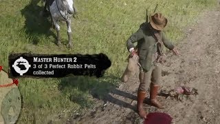 How To Get Perfect Rabbit Pelts  Red Dead Redemption 2 [upl. by Brittaney]