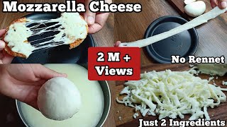 How to Make Mozzarella Cheese Just 2 Ingredients RecipeHomemade Pizza Cheese [upl. by Cousin169]