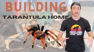 We build a cool tarantula enclosure for the Mexican Fireleg [upl. by Ramsden50]