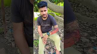 Chawal se do pathar nahin nikal sakteviralvideo shortvideo shortsfeed youtubeshorts youtube [upl. by Sedinoel]