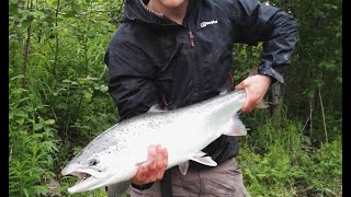 Fiske i Salangselva 2017  Caught Silver Salmon in Salangen [upl. by Eenyaj]