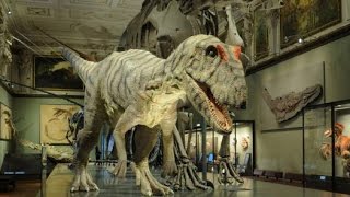 Naturhistorisches Museum Wien  Dinosauriersaal [upl. by Hpseoj]