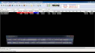 SAS Online  Nest Trader Demo [upl. by Reni103]