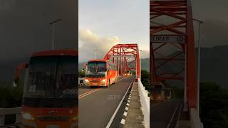 Alvin Transit convoy at Biliran bridge bus busspotting shorts youtubeshorts [upl. by Adda422]