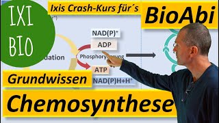 Chemosynthese  Grundwissen und Keywords zum Stoffwechsel chemoautotropher Organismen Bio Abitur [upl. by Sadnac]