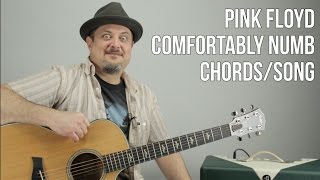 Pink Floyd  Comfortably Numb  Chords Song Tutorial  How to Play On Guitar [upl. by Ddahc]