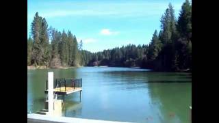 Lake Madrone Mountain Cabin [upl. by Negam986]