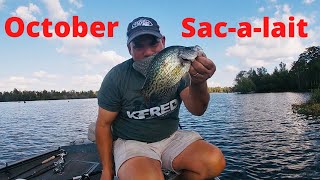 October Crappie Fishing In LouisianaFishing Henderson Lake Using My Hand Tied Jigs [upl. by Helen]