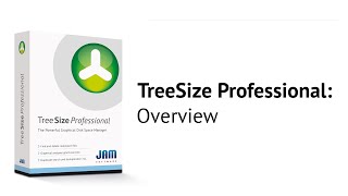 TreeSize Professional  Overview [upl. by Naesed]