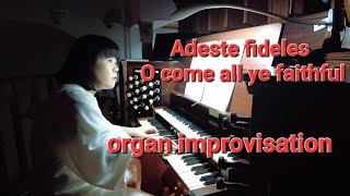 O come all ye faithful Adeste fideles organ 목5동성당 오르간 [upl. by Kassie917]