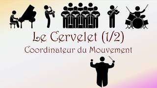 Neurofacile 5  Le Cervelet 12 [upl. by Amikay]