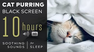 Cat Purring  10 Hours  Black Screen  Soothing Sounds Relax Study Calming [upl. by Aihseyt]