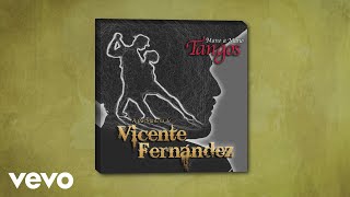 Vicente Fernández  El Día Que Me Quieras Cover Audio [upl. by Aslam]