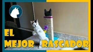 🐈 Rascador Para gatos Casero fácil 🐾 Paso a Paso 😺 [upl. by Ytsihc]