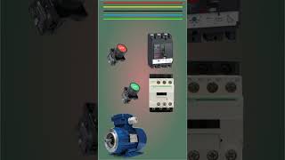 Start Stop Contactor Circuit 3 Phase electrical [upl. by Yung433]