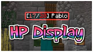 Display Mob Health in Minecraft 115118 [upl. by Lotsyrk]