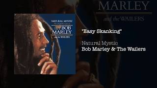 quotEasy Skankingquot  Bob Marley amp The Wailers  Natural Mystic 1995 [upl. by Kele]