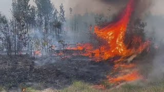 Merryville under mandatory evacuation due to wildfire [upl. by Obau945]