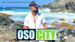 DJ OSOCITY 2022  The Best Of Reggaeton Mix by OSOCITY [upl. by Anillehs]