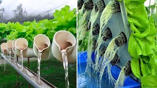 Awesome Hydroponic Farming Modern Technology  Aquaponics agriculture  Vertical Farming [upl. by Dyan]