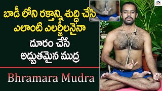 ఎలాంటి ఎలర్జీలనైనా దూరం చేసే ముద్ర  Relief From Allergy and Skin Infection  Bhramara Mudra [upl. by Cailean]