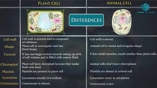 Plant Cell Vs Animal Cell [upl. by Hernandez]