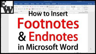 How to Insert Footnotes and Endnotes in Microsoft Word [upl. by Vargas]