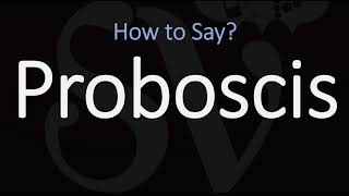 How to Pronounce Proboscis CORRECTLY Meaning amp Pronunciation [upl. by Keating342]