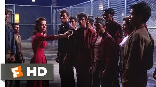 West Side Story 110 Movie CLIP  The Jets Own the Streets 1961 HD [upl. by Assirral673]