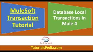 MuleSoft Transaction Management Tutorial  Local Transactions in Mule  Mule 4 Database Transactions [upl. by Rekoob]