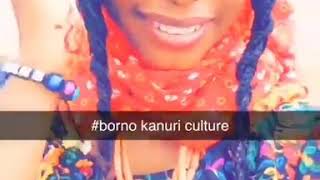 Kunzaye kutunxa Kanuri culture dance [upl. by Edrock363]