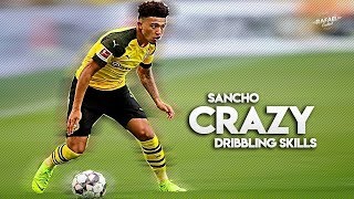 Jadon Sancho 2019 Crazy Dribbling Skills HD [upl. by Hutson]