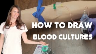 How to Collect Blood Cultures [upl. by Torp452]