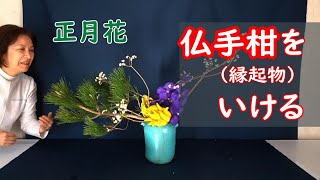 【正月花】仏手柑（縁起物）をいけるSogetsu Ikebana [upl. by Sashenka632]