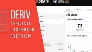 Deriv Affiliate Dashbord Overview [upl. by Naeroled997]